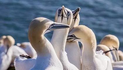 华体会hth官网-【比赛现场】激烈对抗背后的战术布局揭秘，激烈对抗性强的项目有哪些