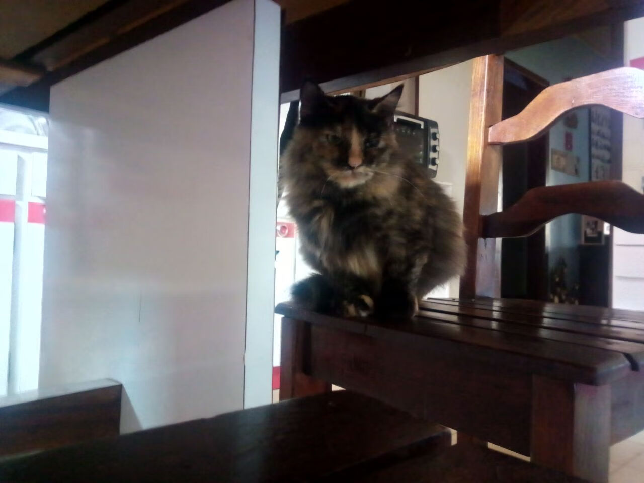 华体会登陆-维达德卡萨布兰卡计划举办国际足球训练营，促进交流，达维德卡拉布里亚