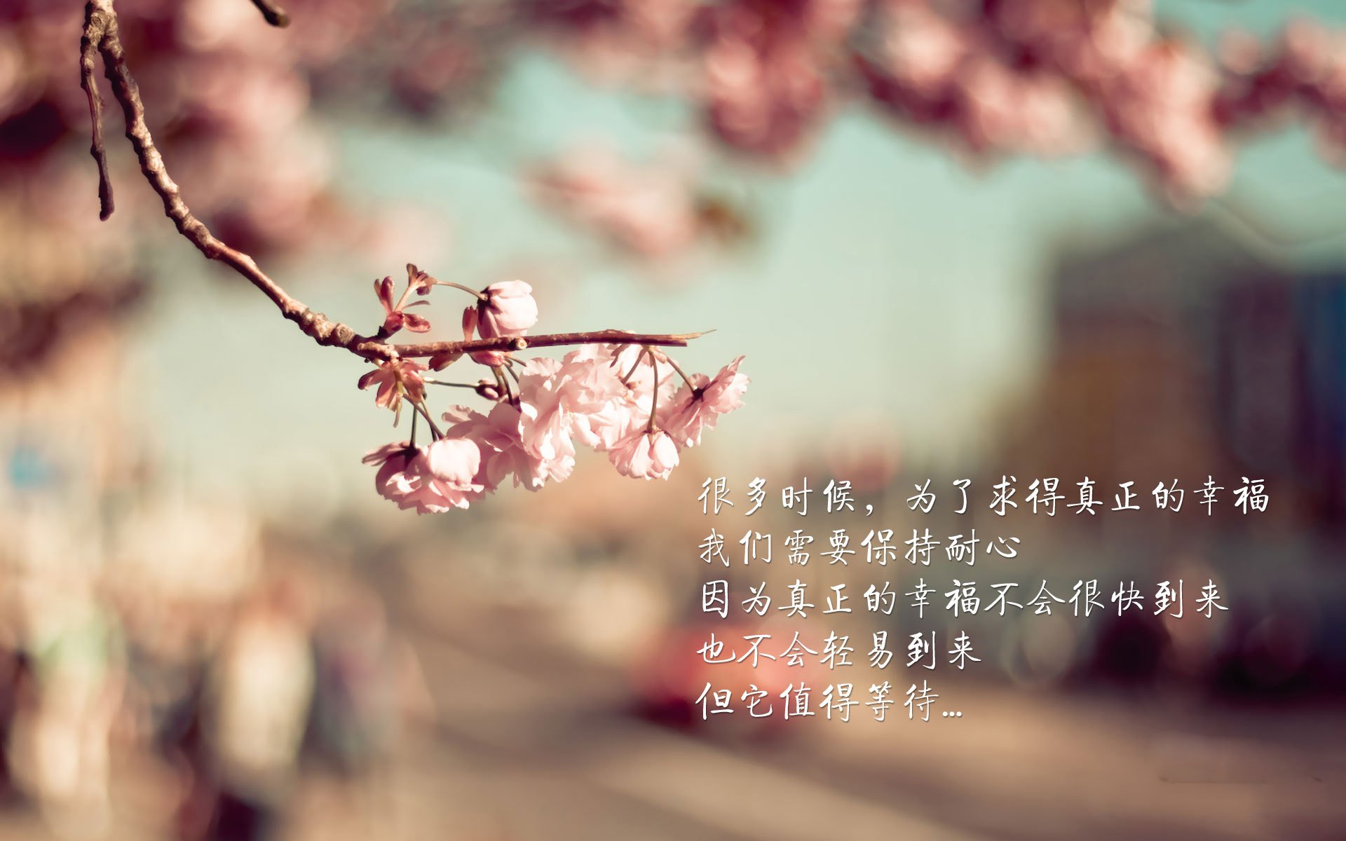 自由人队年轻球员快速成长，wnba自由人队