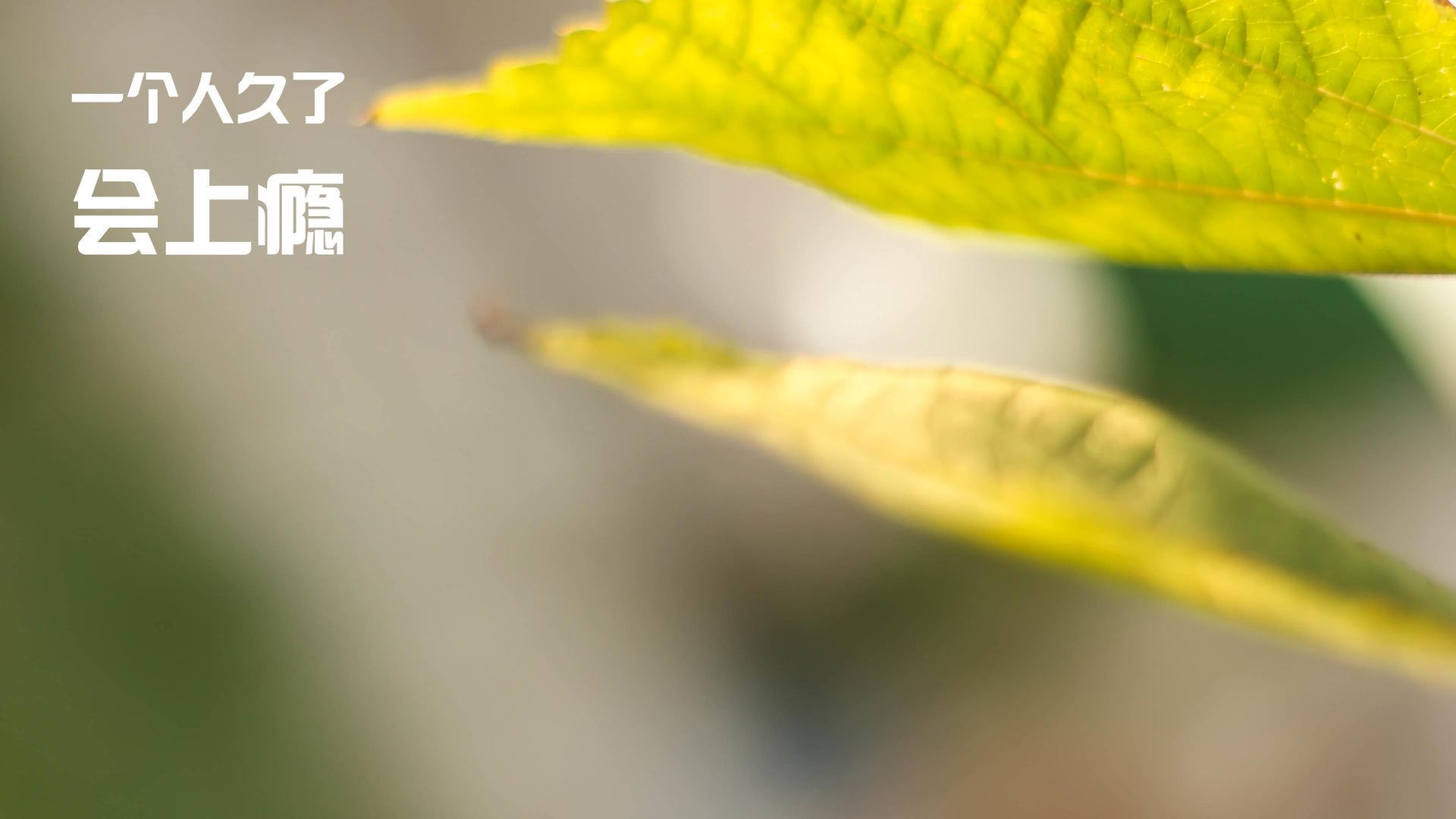 NBA赛事数据分析辅助裁判判罚的应用，nba裁判主导比赛