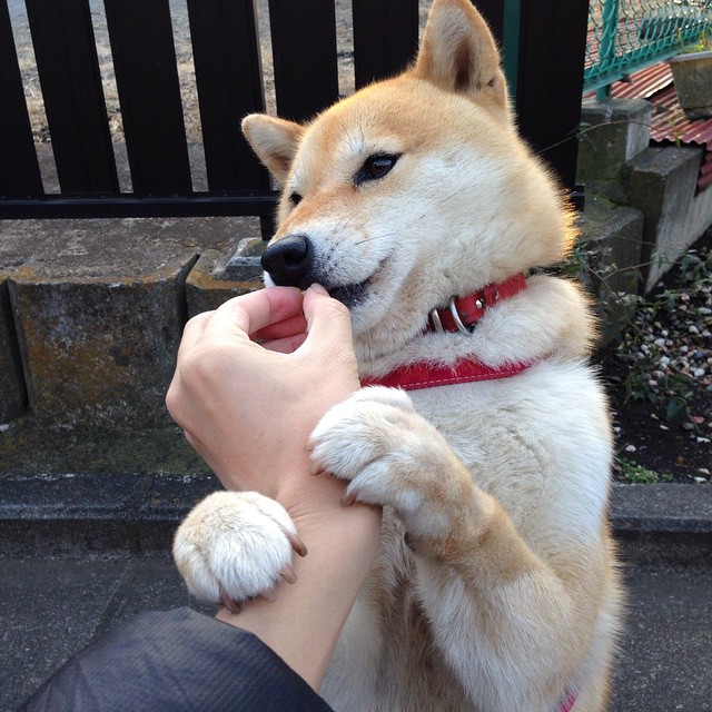 中小学体育教师继续教育模式研究，体育教师继续教育计划