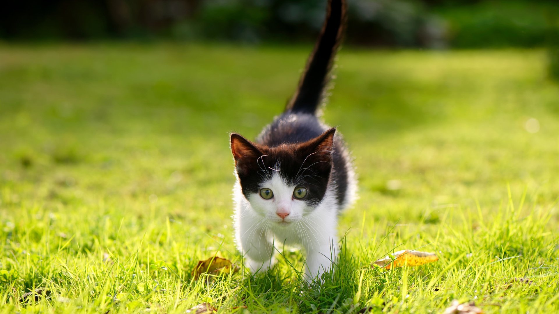 华体会hth娱乐平台-体育场馆安全应急预案，体育场馆安全事项清单