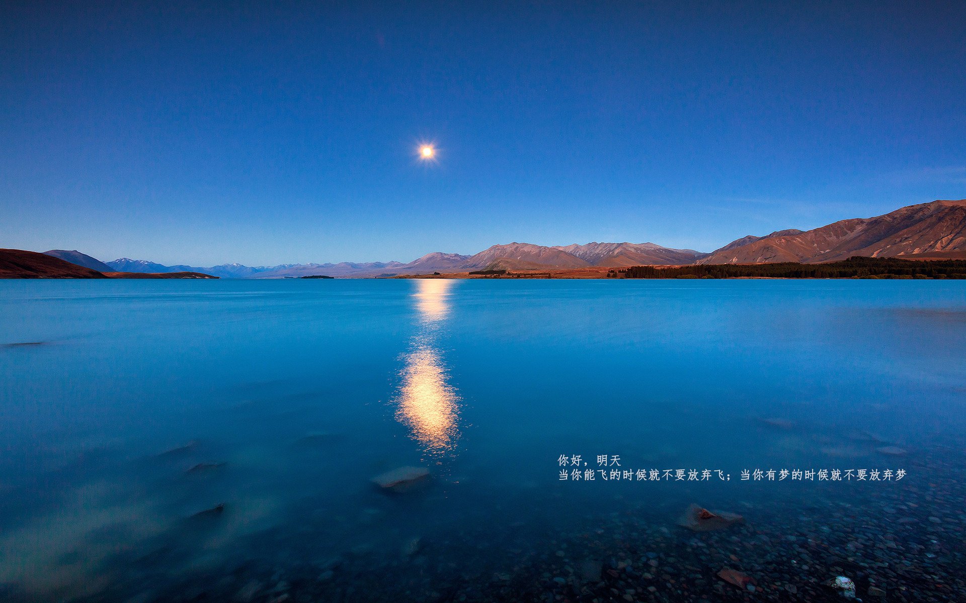 德甲球员心率变异性监测指导个体化训练调整，心率变异性数据