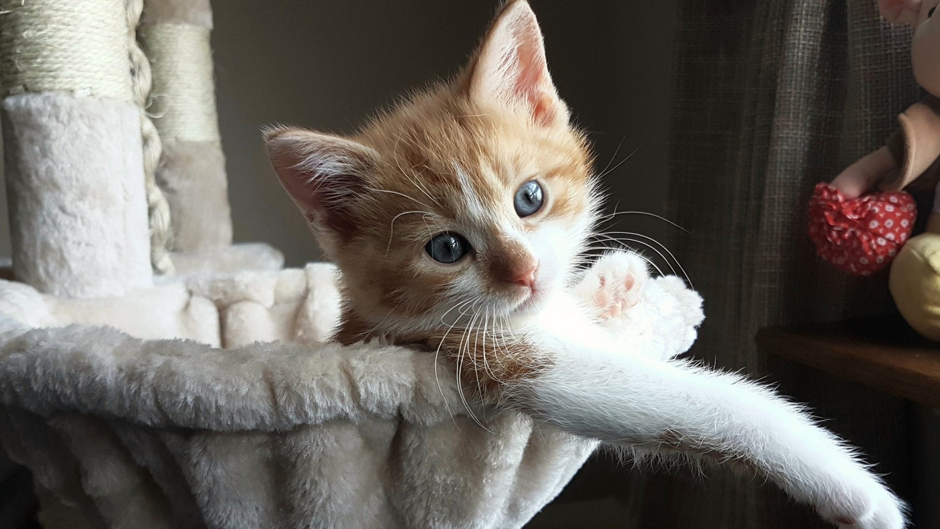 意甲球队VAR判罚语言语义分析优化决策流程，var技术足球