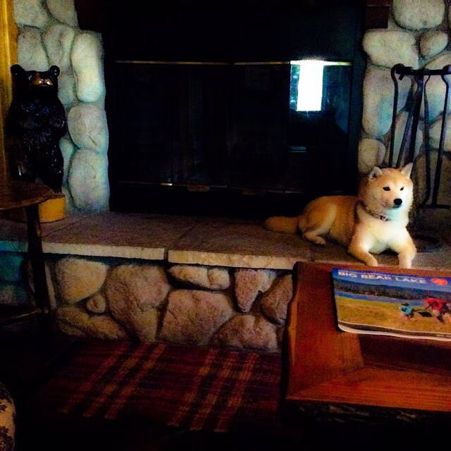 华体会hth官网入口-青少年体育竞赛组织管理，青少年体育竞训工作