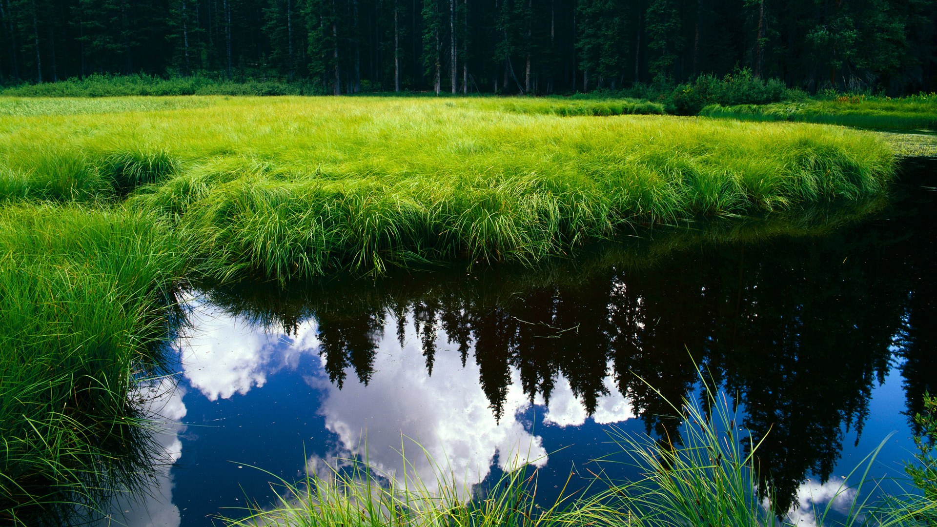 CBA球员退役后转型路径逐渐清晰,cba球员退役后有退休金吗