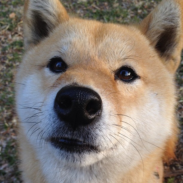 中超联赛国家队复仇 球迷热情不断升温，中超国家队大名单