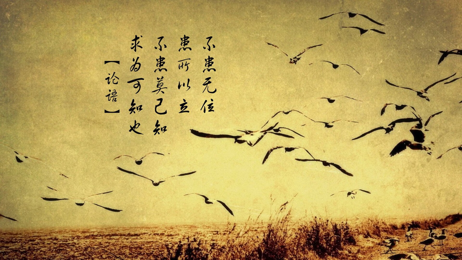 体育新闻中心发布体育创作者职业道德指导手册，体育领域创作者