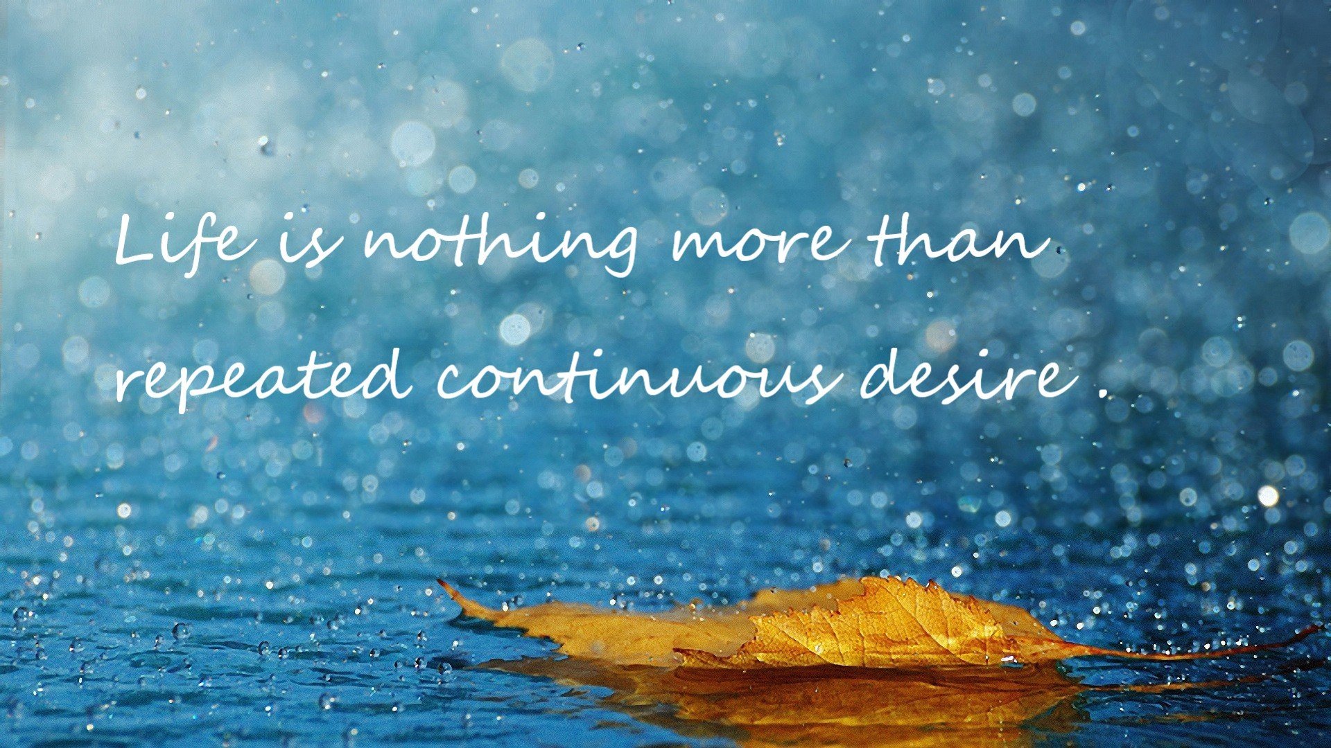 奥运体操选拔赛竞争激烈 年轻选手表现抢眼,奥运会体操竞技比赛