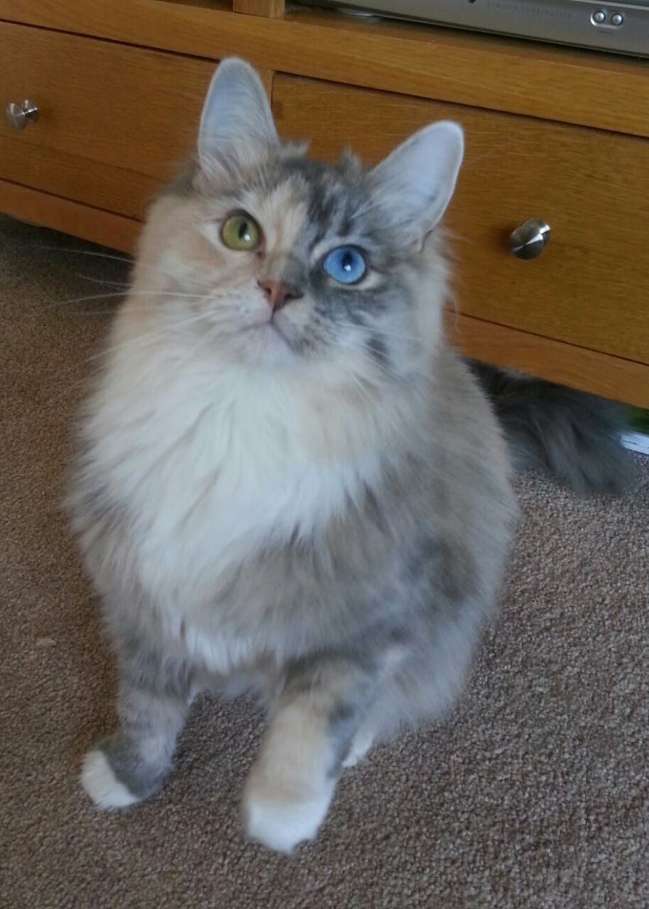 城市马拉松倡导绿色健康生活,城市马拉松活动策划方案