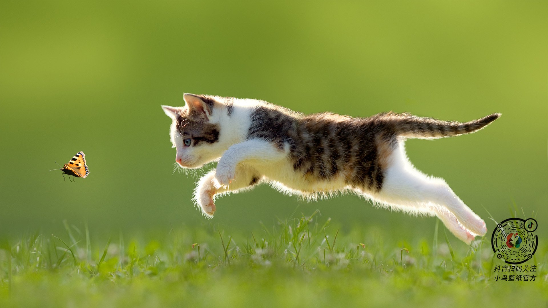 浙江雄狮持续挖掘板凳深度应对赛季消耗，浙江雄狮工贸有限公司