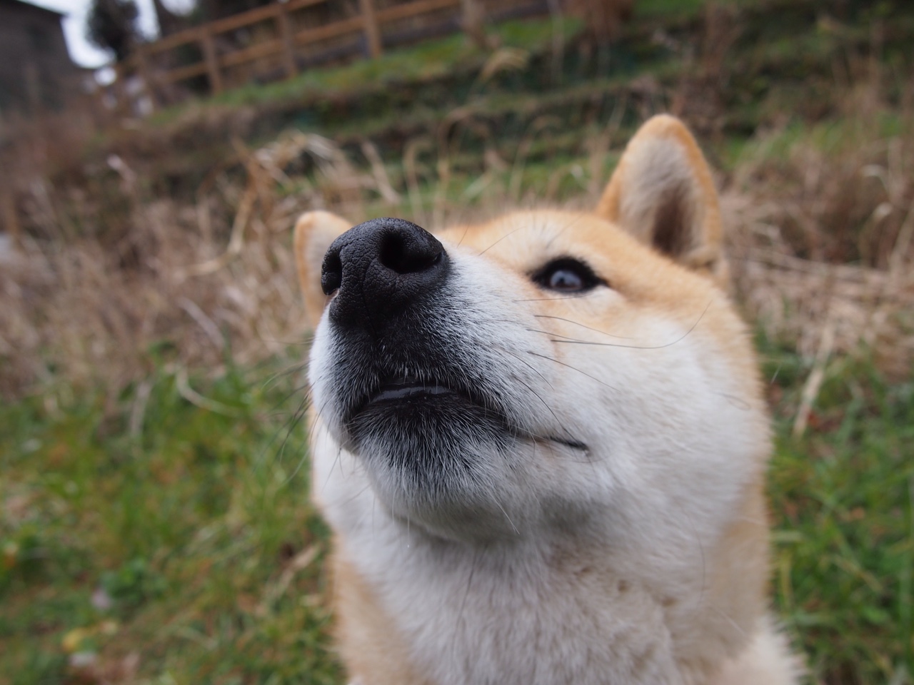 球员选拔制度改革推动公平竞争新格局，球员选择什么意思