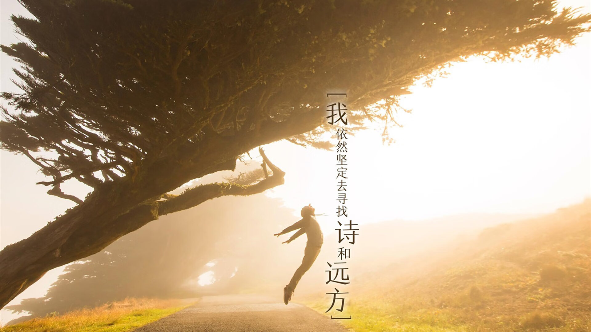 禁区传切配合中的默契建立方式，禁区内传递球有越位吗