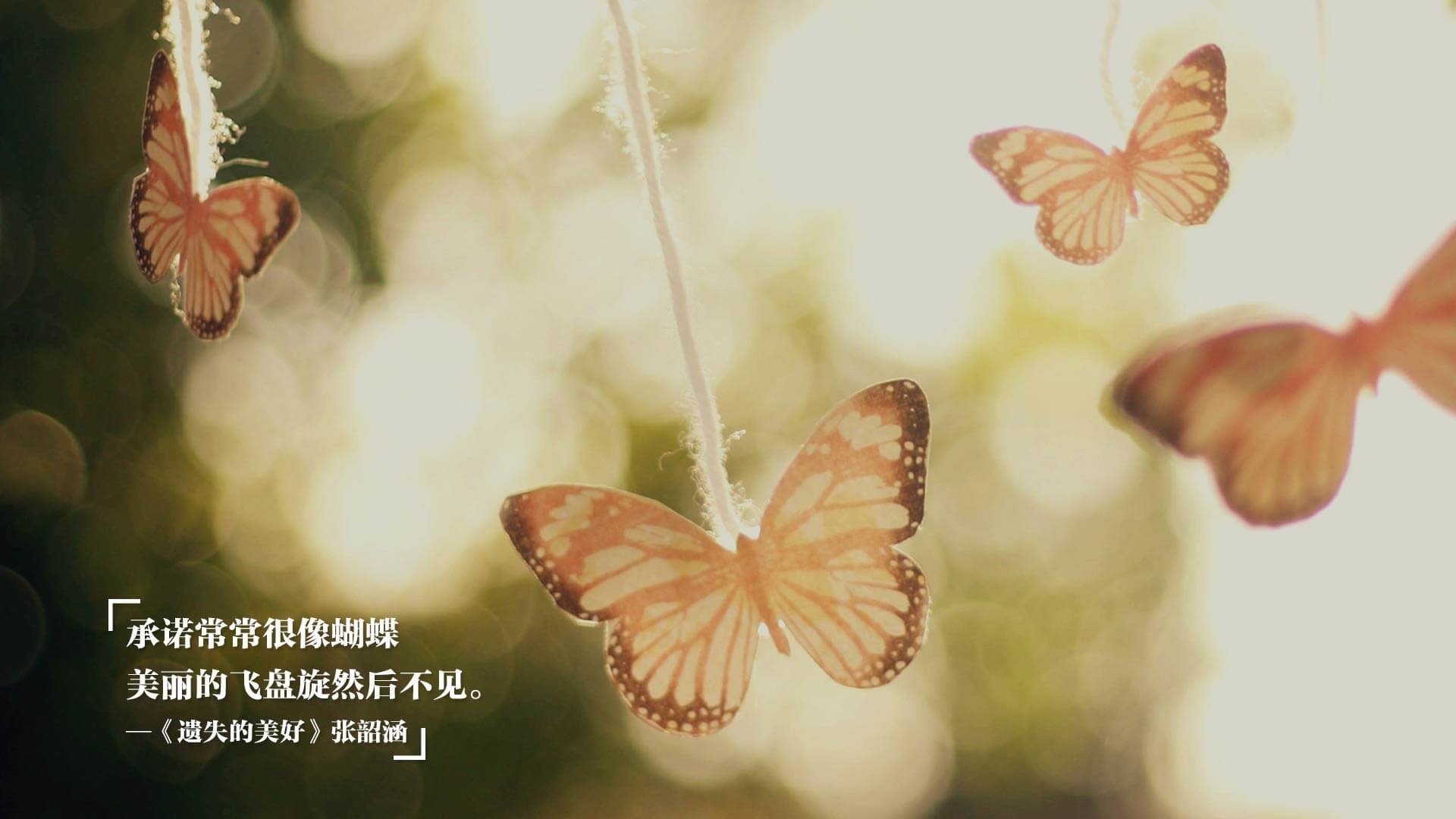 华体会hth官方网站下载-南非橄榄球走向世界，全球球迷基础日益扩大，95南非橄榄球