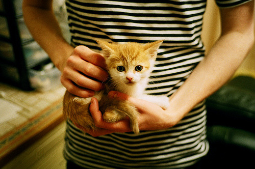 国际拳击协会发布新手册，国际拳击协会举办比赛有哪些