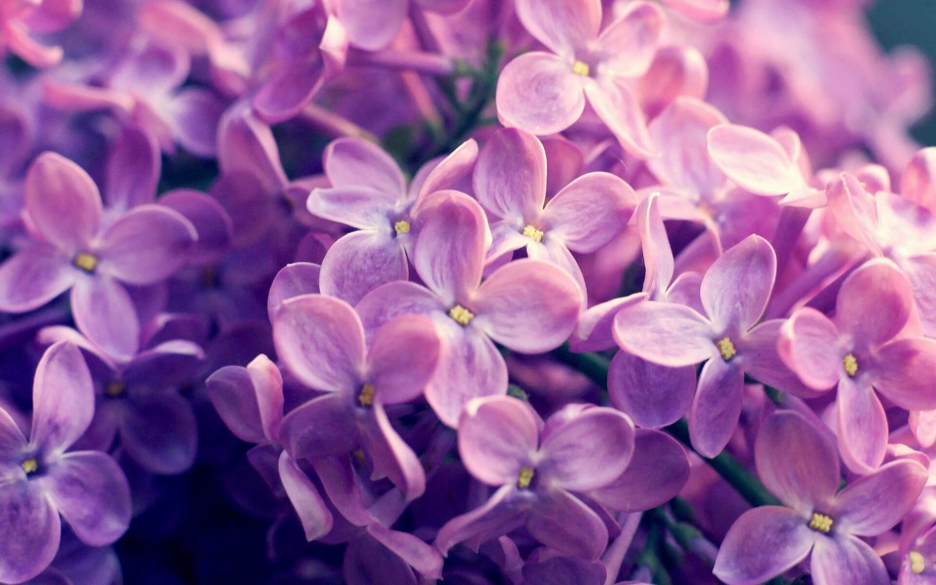 华体会官方网站首页-女子篮球推动核心战术板块训练强化执行效率，女子篮球基本功训练