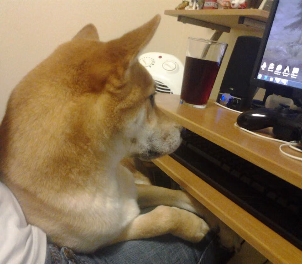 华体会官方网站首页-火箭官宣签下全明星控卫，火箭全明星球员