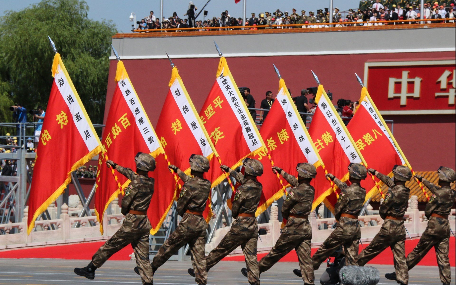 爱尔兰女子队世界杯之旅再掀热潮，爱尔兰队世界排名