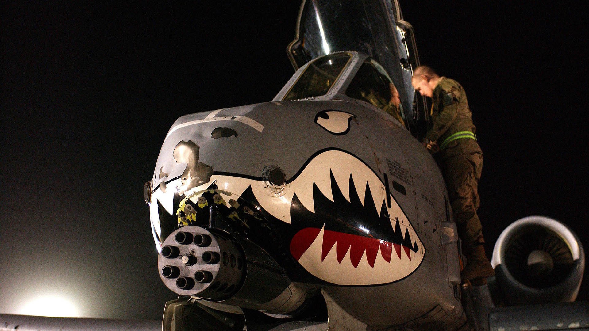 自由泳项目荷兰男将展现速度，荷兰弟游泳