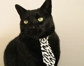 青少年篮球技能等级证书全国统一认证体系正式启用，青少年篮球等级证有什么用